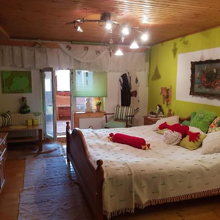 Littel Green Old Home Сигишоара Экстерьер фото