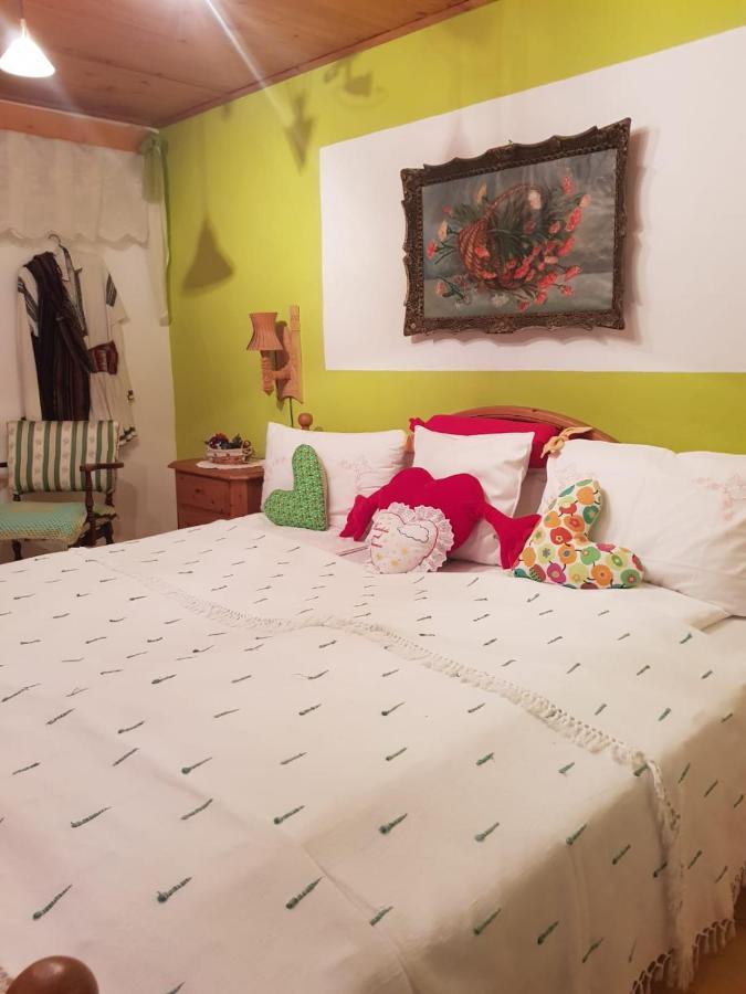 Littel Green Old Home Сигишоара Экстерьер фото
