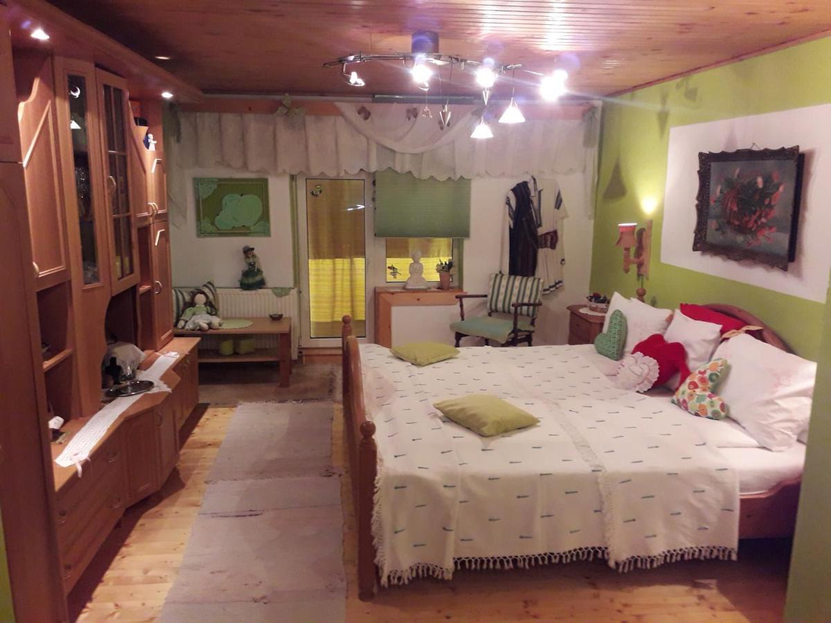 Littel Green Old Home Сигишоара Экстерьер фото