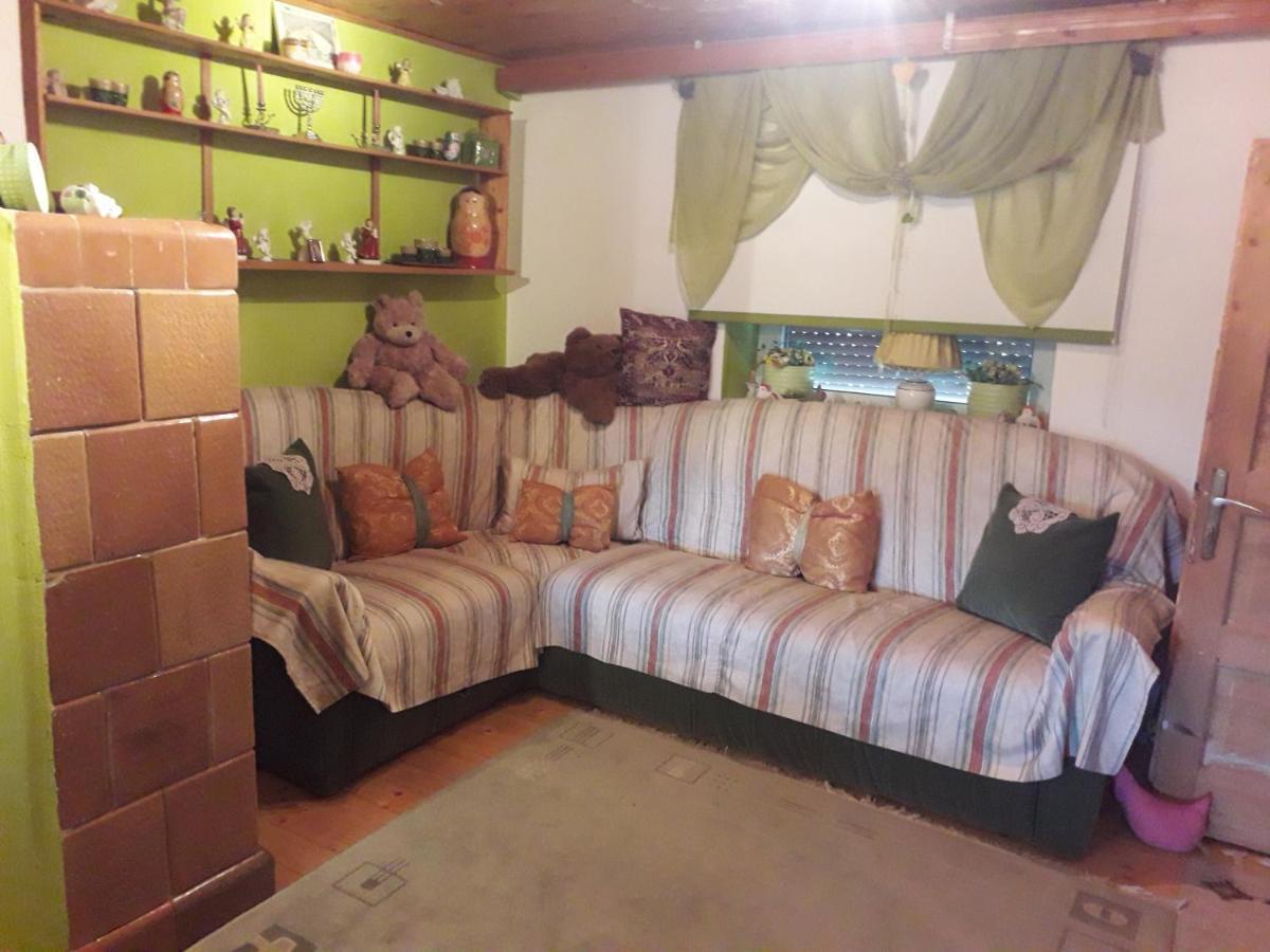 Littel Green Old Home Сигишоара Экстерьер фото
